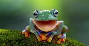 How the EU Taxonomy makes being green easy