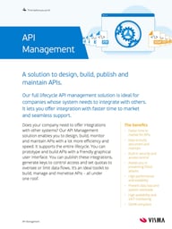 FS_API Management
