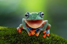 It aint easy being green
