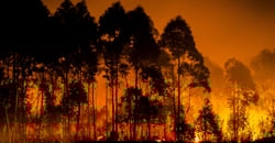 Reinier van den Berg The Latest IPCC Report Shows US The Time to Act is Now