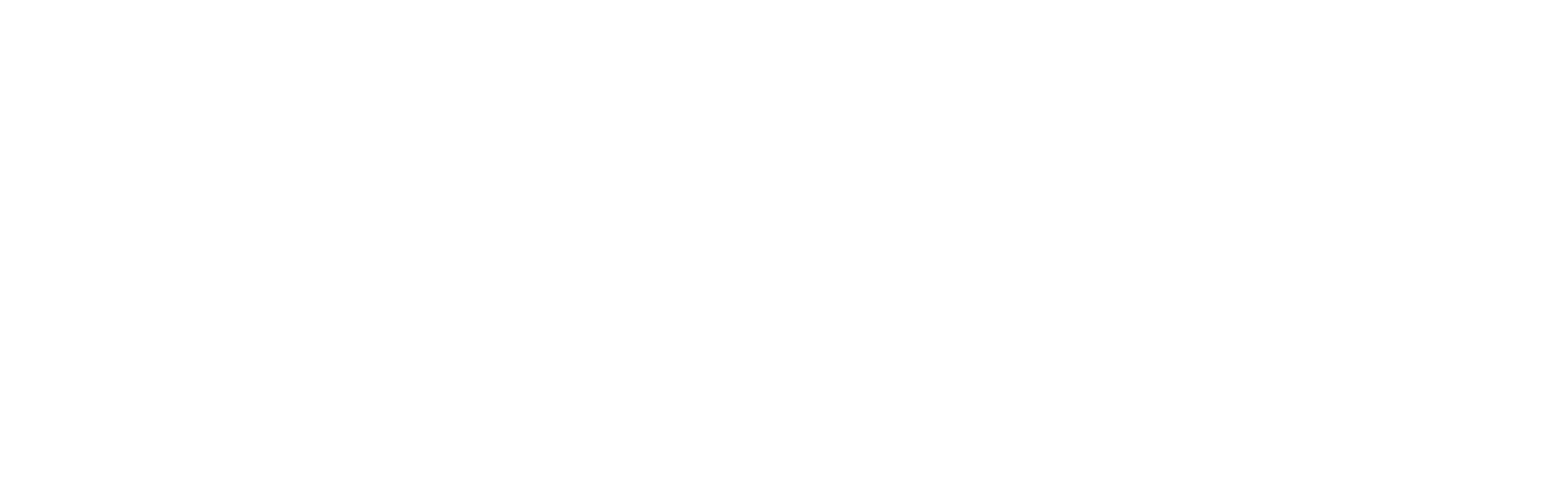 SureSync-logo-inline-neg